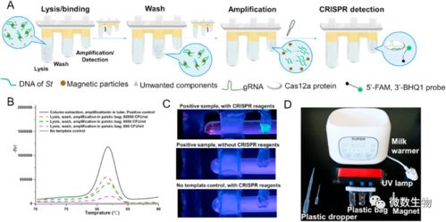 在家自己做核酸檢測(cè) 蕭山公司創(chuàng)新產(chǎn)品引領(lǐng)便捷檢測(cè)新潮流，計(jì)算機(jī)軟硬件協(xié)同實(shí)現(xiàn)1小時(shí)快速檢測(cè)